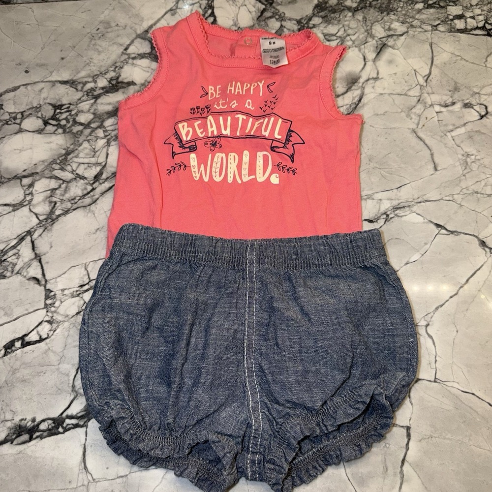 Carhartt Baby Girls 9 Months Pink Chambray Outfit Beautiful World